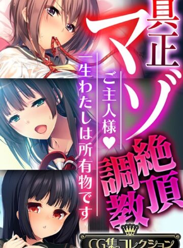 真正マゾ絶頂調教 〜ご主人様 一生わたしは所有物です〜【CG集コレクション】❤大人のSEXY絵本 【単行本】購入はこちら！