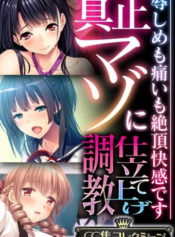 真正マゾに仕立て上げ調教 〜辱しめも痛いも絶頂快感です〜【CG集コレクション】❤大人のSEXY絵本 【単行本】購入はこちら！