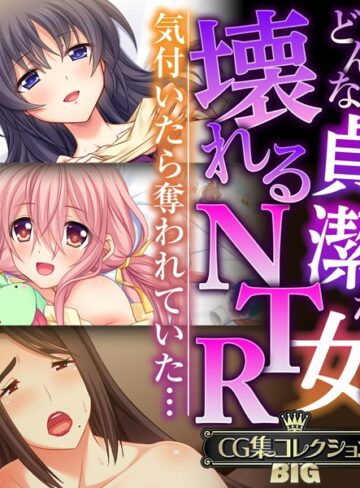 どんな貞潔な女も壊れるNTR〜気付いたら奪われていた…〜【CG集コレクションBIG】❤大人のSEXY絵本 【単行本】購入はこちら！