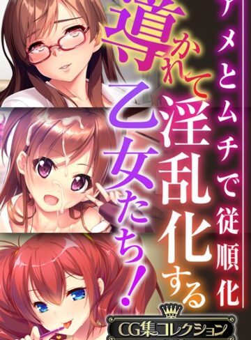 導かれて淫乱化する乙女たち！〜アメとムチで従順化〜【CG集コレクションBIG】❤大人のSEXY絵本 【単行本】購入はこちら！