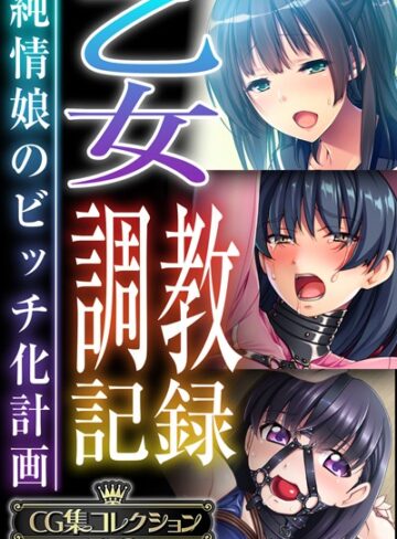 乙女調教記録〜純情娘のビッチ化計画〜【CG集コレクションBIG】❤大人のSEXY絵本 【単行本】購入はこちら！