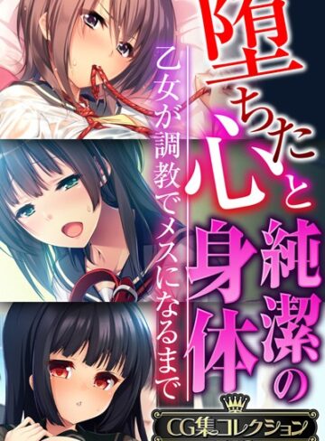 堕ちた心と純潔の身体〜乙女が調教でメスになるまで〜【CG集コレクションBIG】❤大人のSEXY絵本 【単行本】購入はこちら！